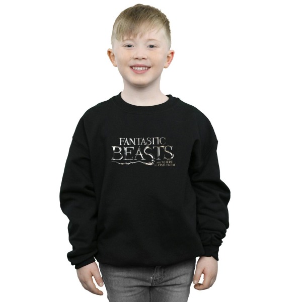 Fantastic Beasts Boys Text Logo Sweatshirt 12-13 Years Black Black 12-13 Years
