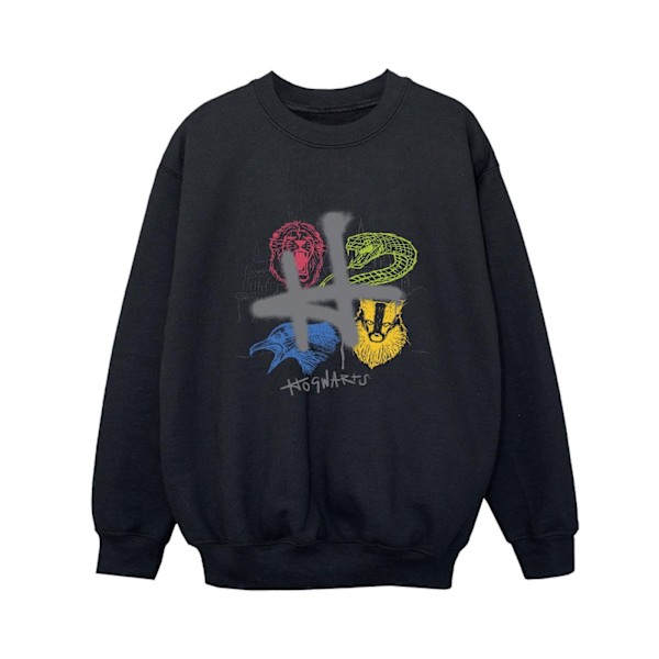 Harry Potter Boys Emblems H Spray Sweatshirt 3-4 år Svart Black 3-4 Years