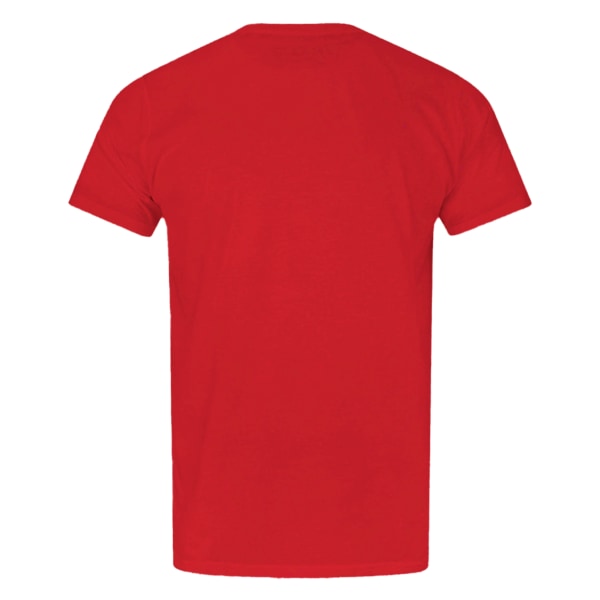 Flash Official Boys Distressed Logo T-Shirt 13-14 Years Red Red 13-14 Years