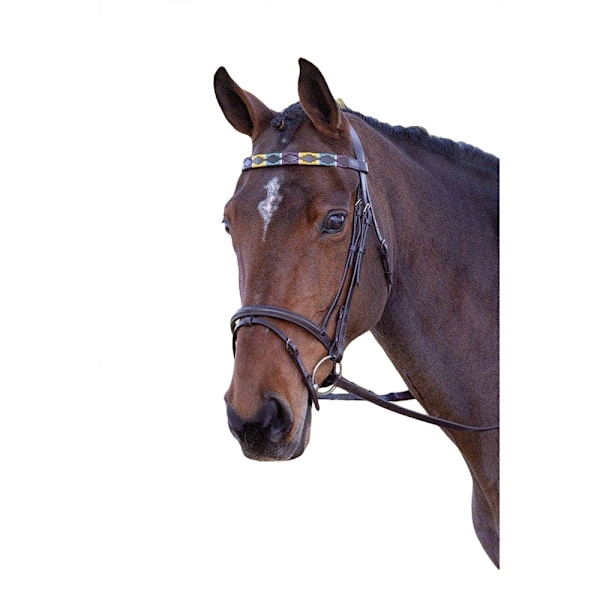 Blenheim Läder Polo Häst Pannband Cob Lila/Mörkgrön/Gul Purple/Dark Green/Yellow Cob
