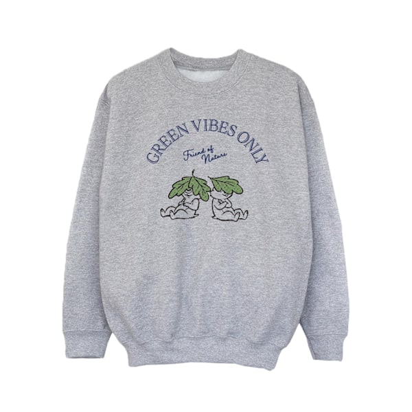 Disney Girls Chip ´n Dale Green Vibes Only Sweatshirt 3-4 år Sports Grey 3-4 Years