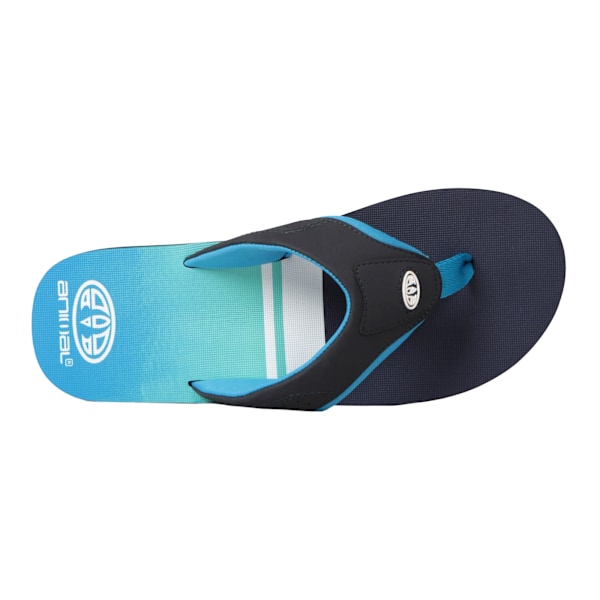 Animal Mens Jekyl Colour Block Recycled Flip Flops 10 UK Blå Blue 10 UK