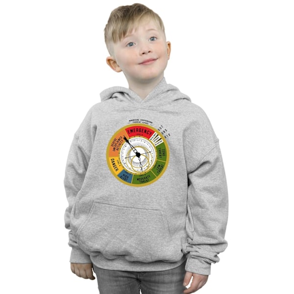 Fantastic Beasts Boys Threat Level Hoodie 12-13 år Sports Grå Sports Grey 12-13 Years