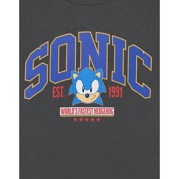 Sonic The Hedgehog Herr Världens Snabbaste Tröja 3XL Grå Grey 3XL
