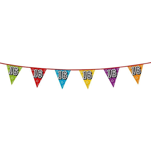 Boland 16-årsdag Vimpel En Storlek Flerfärgad Multicoloured One Size