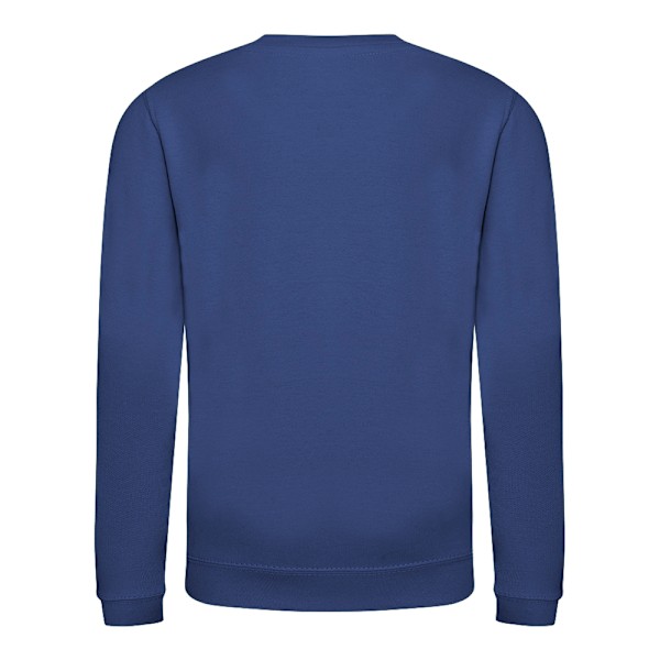 AWDis Just Hoods Barn/Kids Enfärgad Sweatshirt med Rund Hals 12-1 Royal Blue 12-13 Years