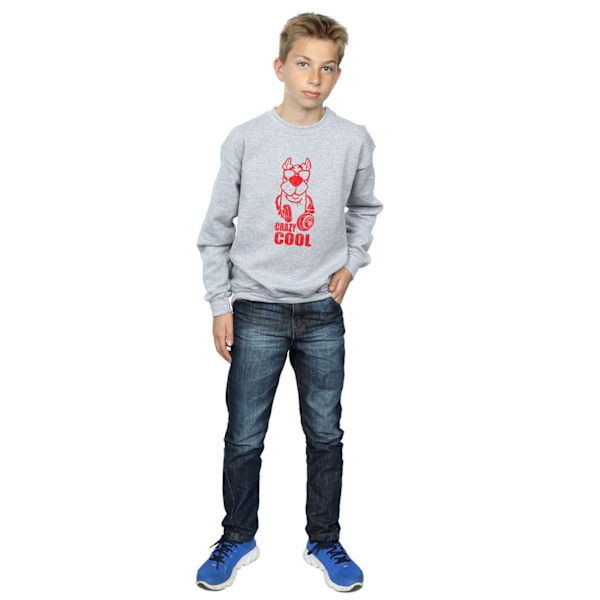 Scooby Doo Boys Crazy Cool Sweatshirt 7-8 år Sports Grey Sports Grey 7-8 Years