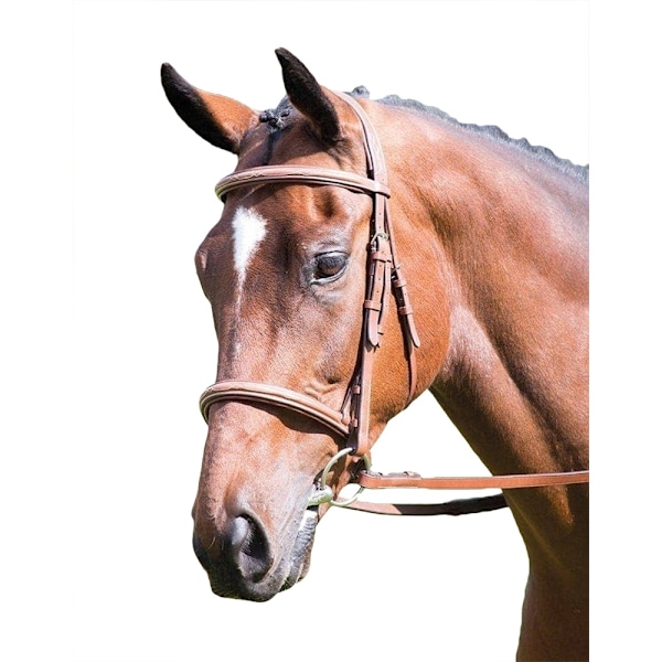 Avignon Hunter Läder Häst Cavesson Bridle X Full Ek Brun Oak Brown X Full