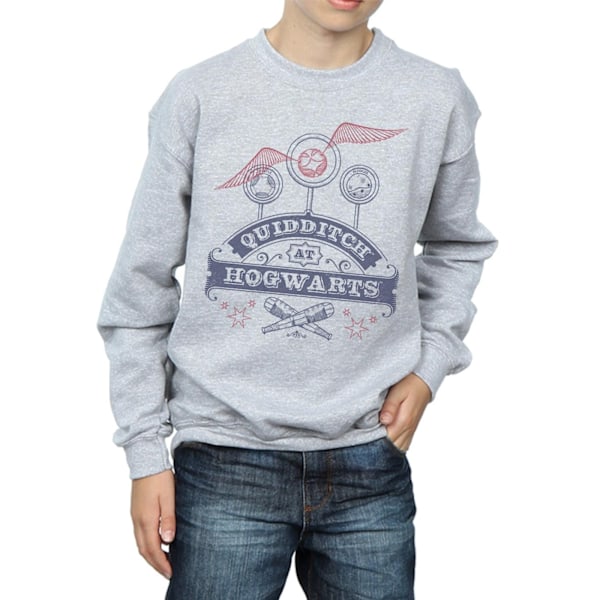 Harry Potter Pojkar Quidditch På Hogwarts Sweatshirt 7-8 År Sp Sports Grey 7-8 Years