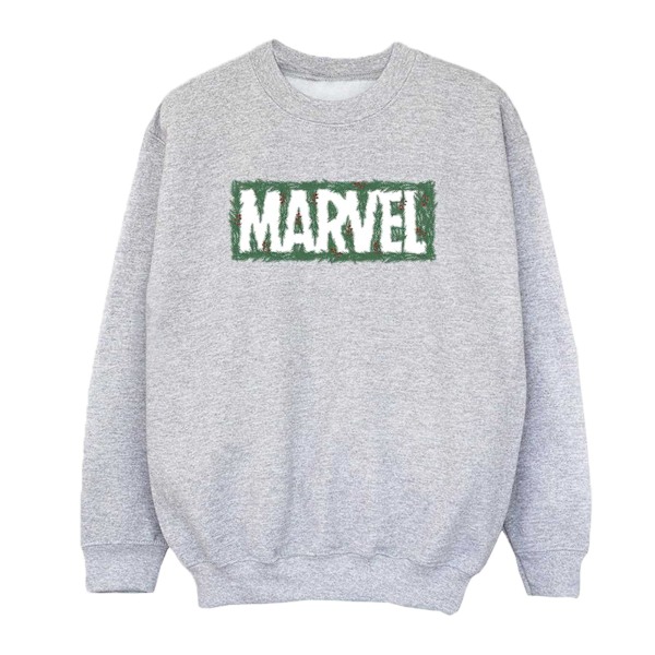 Marvel Dam/Kvinnor Holly Logo Sweatshirt 4XL Sports Grey Sports Grey 4XL