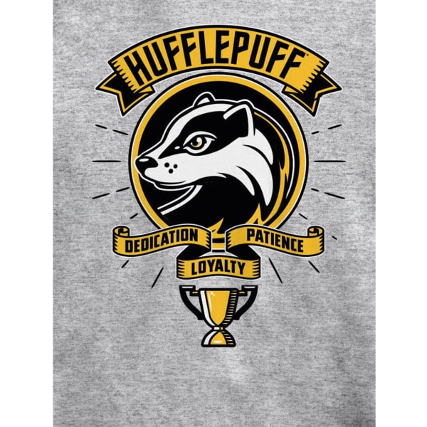 Harry Potter barn/barnserietidningsstil Hufflepuff T-shirt 5-6 Grey Heather 5-6 Years