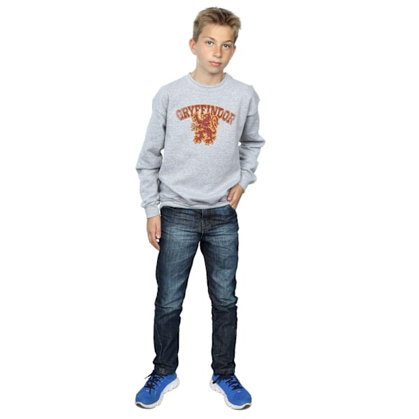 Harry Potter Pojkar Gryffindor Sport Emblem Sweatshirt 7-8 År Sports Grey 7-8 Years