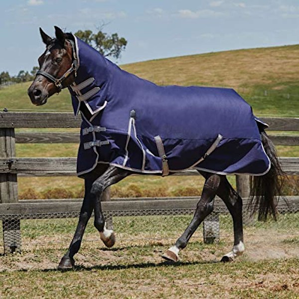 Weatherbeeta Comfitec Lite Essential Combo Neck Turnout Rug 7 f Navy/Silver/Red 7 ft