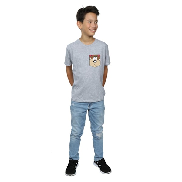 Looney Tunes Boys Tasmanian Devil Face Faux Pocket T-Shirt 12-1 Sports Grey 12-13 Years