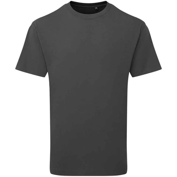 Anthem Herr T-shirt Tungvikt 3XL Stone Stone 3XL