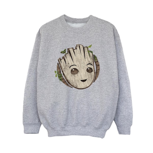 Marvel Boys I Am Groot Trähuvud Sweatshirt 3-4 År Sport Sports Grey 3-4 Years