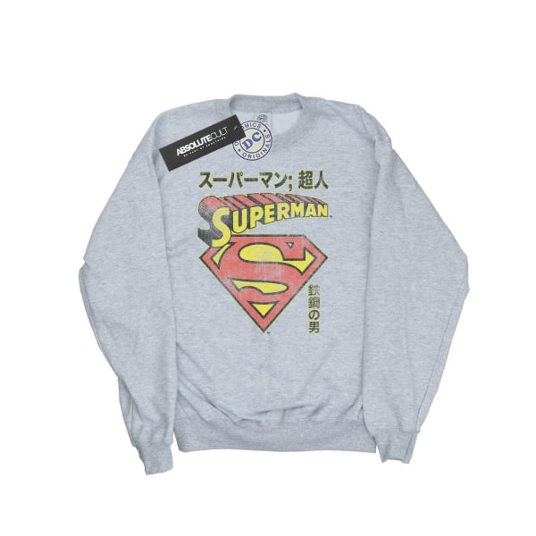 DC Comics Herr Superman Shield Sweatshirt XXL Sports Grey Sports Grey XXL