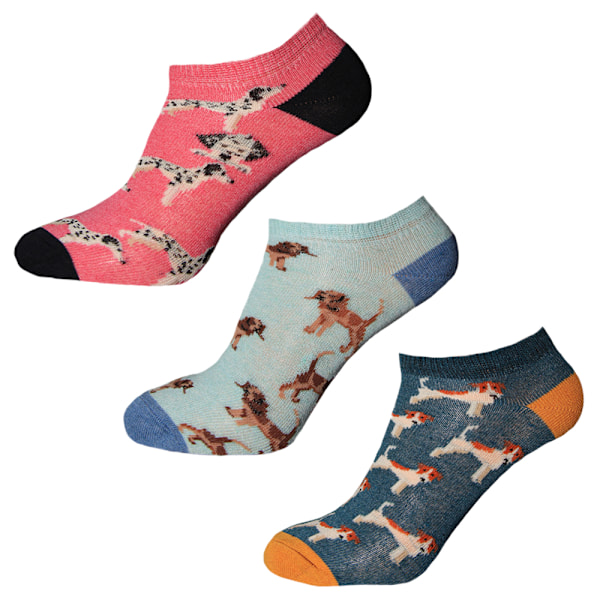 Simply Essentials Dam/Damstrumpor Hundtränare (3-pack) Pink/Baby Blue/Teal UK 4-8