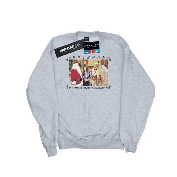 Friends Dam/Damer Jag Är Holiday Armadillo Sweatshirt M S Sports Grey M