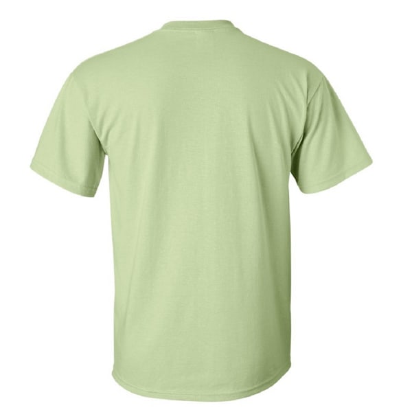 Gildan Mens Ultra Cotton Kortärmad T-shirt XL Pistachio Pistachio XL