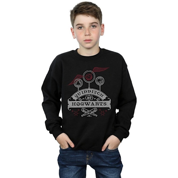 Harry Potter Quidditch på Hogwarts Sweatshirt för pojkar 9-11 år B Black 9-11 Years