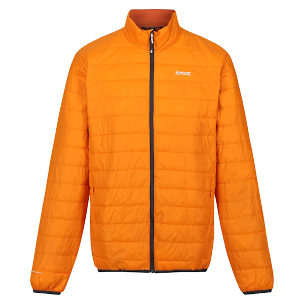 Regatta Herr Hillpack Quilted Isolerad Jacka XXL Orange Peel/ Orange Peel/Burnt Copper XXL