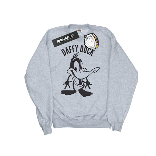 Looney Tunes Herr Daffy Duck Stor Huvud Sweatshirt XL Sports Grå Sports Grey XL