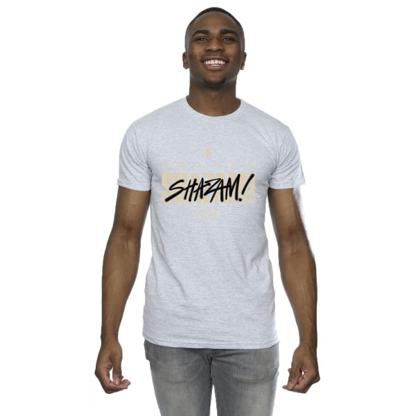 DC Comics Mens Shazam Fury Of The Gods Vandalized Logo T-Shirt Sports Grey 3XL
