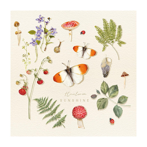 Summer Thornton Heulwen Sunshine Print 40cm x 40cm x 0.21cm Vit White/Multicoloured 40cm x 40cm x 0.21cm