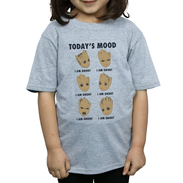 Guardians Of The Galaxy Girls Today´s Mood Baby Groot Bomull T- Sports Grey 7-8 Years