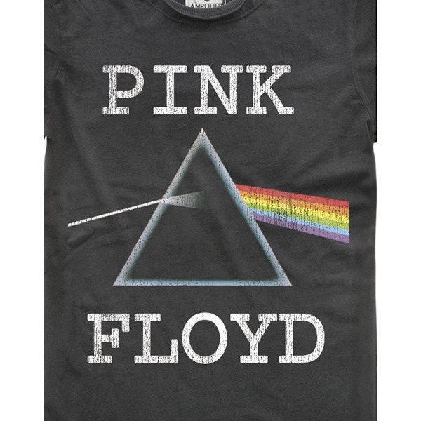Amplified Mens Dark Side Pink Floyd T-Shirt XS Charcoal Charcoal XS