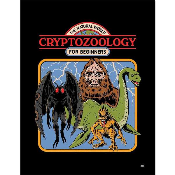 Steven Rhodes Cryptozoology For Beginners Inramad Poster 40cm x Black/Multicoloured 40cm x 30cm