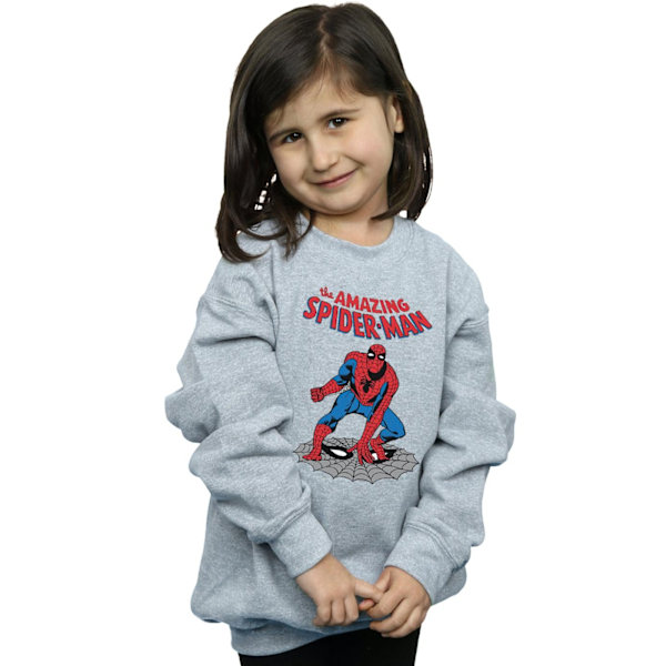 Marvel Girls The Amazing Spider-Man Sweatshirt 12-13 år Spor Sports Grey 12-13 Years