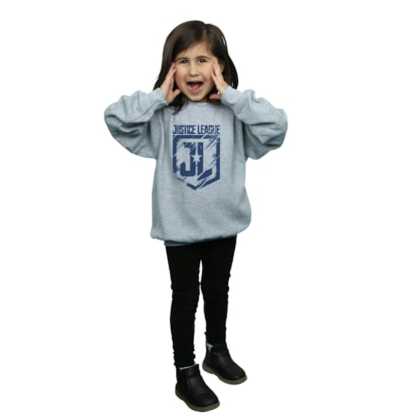 DC Comics Girls Justice League Movie Indigo Logo Sweatshirt 5-6 Sports Grey 5-6 Years