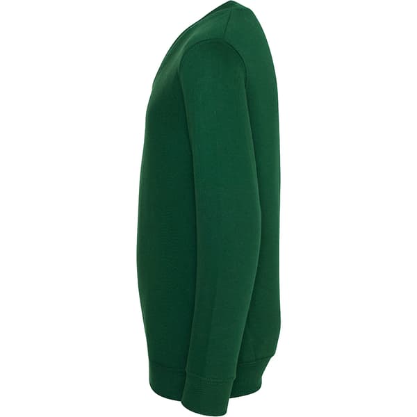 AWDis Academy Barn/Barn Junior V-halsad Skoltröja/Sweatshirt Green 3-4 Years