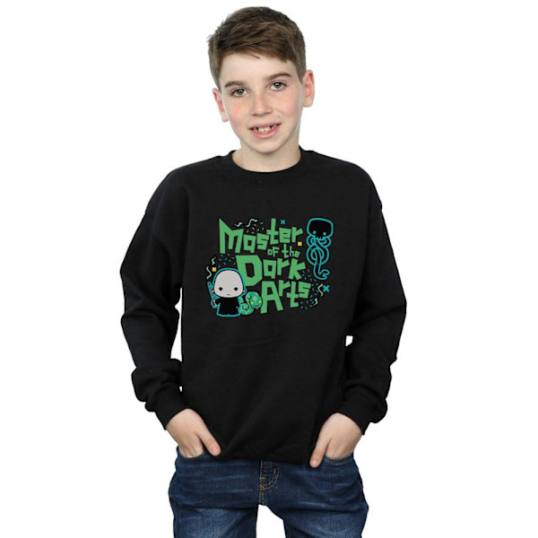 Harry Potter Boys Voldemort Dark Arts Junior Sweatshirt 12-13 år Black 12-13 Years