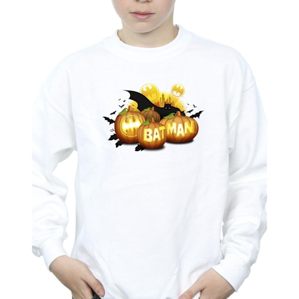 DC Comics Boys Batman Pumpkins Sweatshirt 3-4 år Vit White 3-4 Years