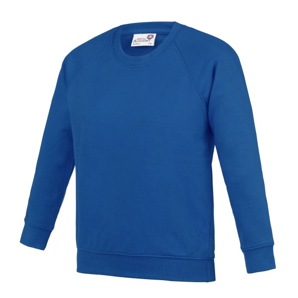 AWDis Academy barn/barn raglan skoltröja med rund hals Royal Blue 11-12 Years