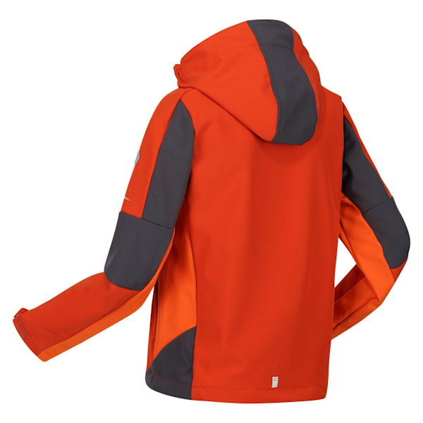 Regatta Barn/Barn Acidity VI Lättvikts Soft Shell Jacka Rusty Orange/Slate Grey 11-12 Years