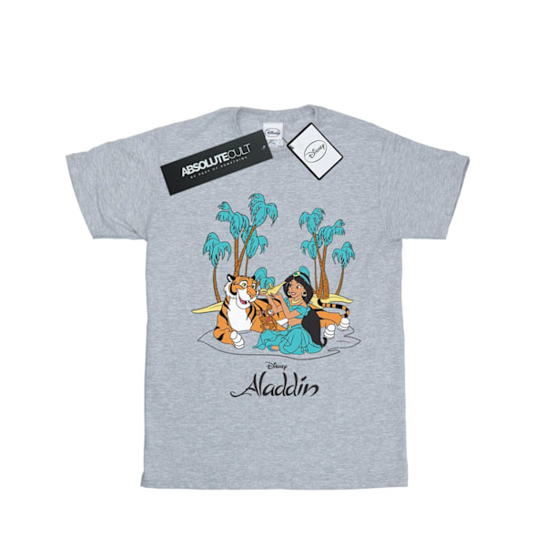 Disney Boys Aladdin Jasmine Abu Rajah Beach T-Shirt 5-6 år S Sports Grey 5-6 Years