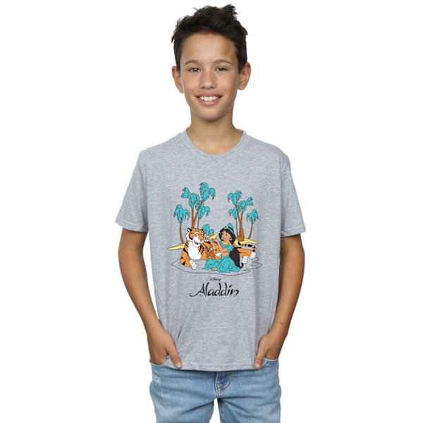 Disney Boys Aladdin Jasmine Abu Rajah Beach T-Shirt 12-13 år Sports Grey 12-13 Years