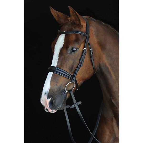 Collegiate Mono Crown Padded Raised Leather Cavesson Bridle Cob Brown Cob