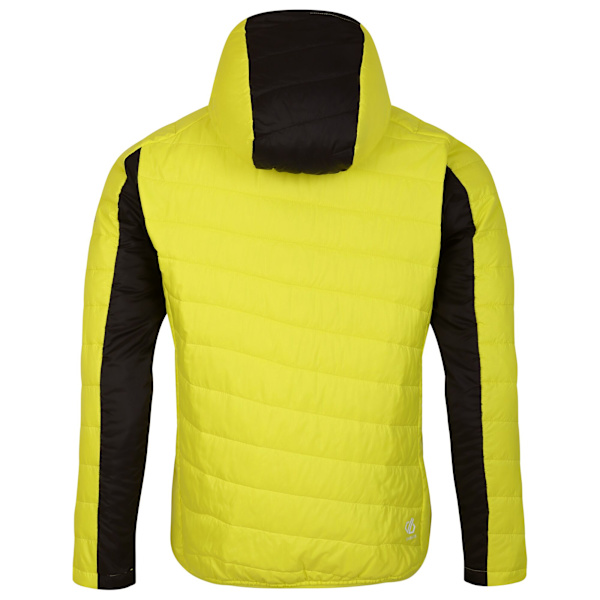 Dare 2B Touring Vadderad Jacka för Män L Neon Spring/Dark Storm Neon Spring/Dark Storm L