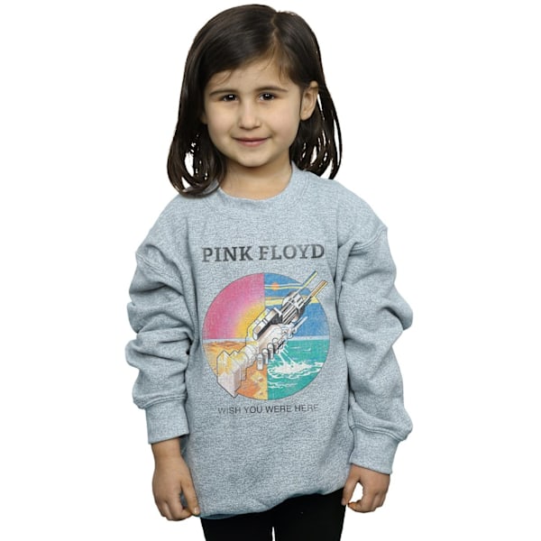 Pink Floyd Girls Wish You Were Here Sweatshirt 12-13 år Spor Sports Grey 12-13 Years