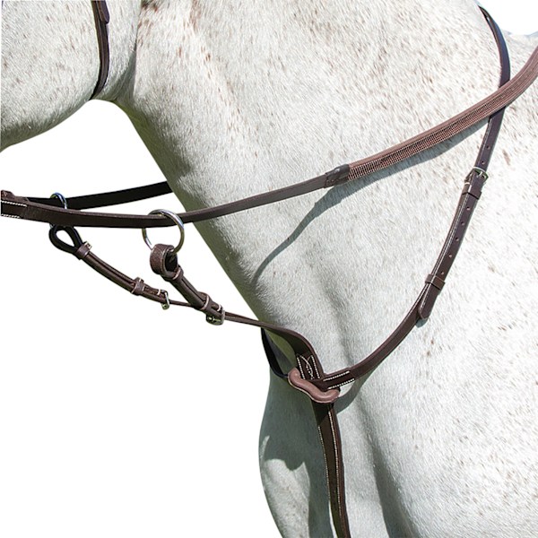 Avignon Läder Häst Running Martingale X Full Havana Havana X Full
