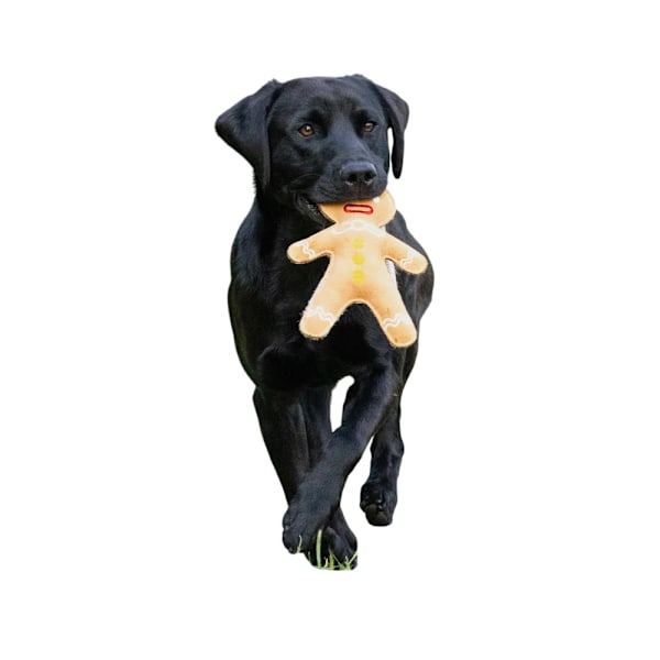Benji & Flo Pepparkaksgubbe Julhundleksak One Size Brun/Blå Brown/Blue/Yellow One Size