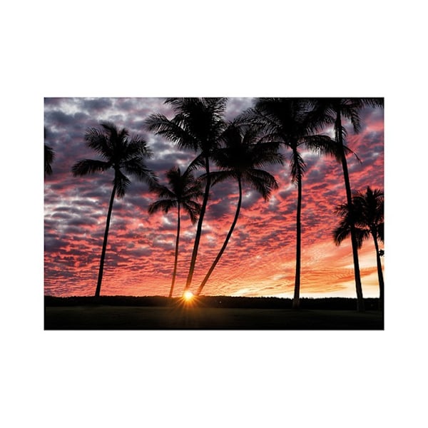 Dennis Frates Hawaiian Sunset Print 30cm x 40cm Multifärgad Multicoloured 30cm x 40cm