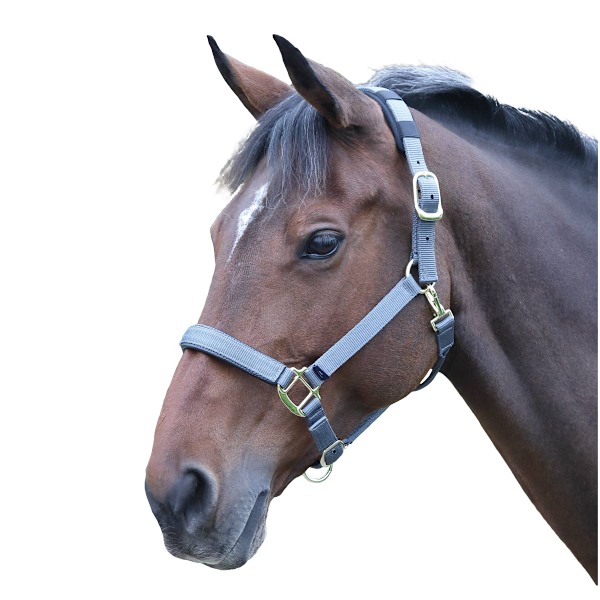 Shires Topaz Nylon Hästgrimma Cob Grå Grey Cob