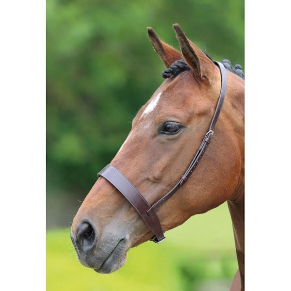 Velociti Hunter Läder Häst Cavesson Nosgrimma Ponny Havanna Havana Pony
