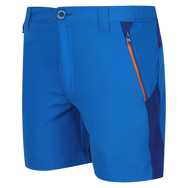 Regatta Sorcer Mountain III Shorts för barn/ungdomar 9-10 år Ox Oxford Blue/New Royal 9-10 Years